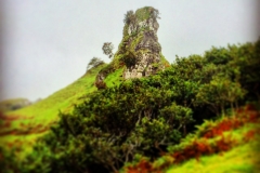 batch_IMG_8036