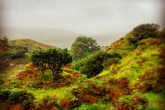 batch_IMG_8037