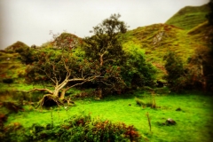 batch_IMG_8041