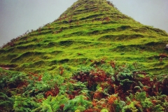 batch_IMG_8049