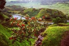 batch_IMG_8056