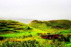 batch_IMG_9279