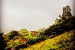 batch_IMG_9282