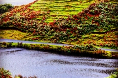 batch_IMG_9285
