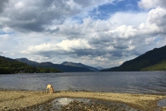 11999741_10153179890131446_6826792625755538911_o-e1475420139678