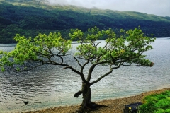 IMG_7778-e1475420053903