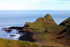 IMG_0050-e1476560485617