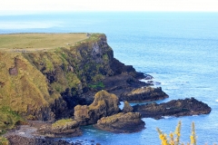 IMG_0056-e1476560424426