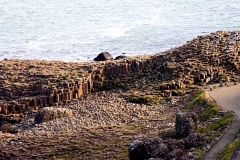 IMG_0061-e1476560306459