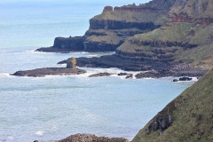 IMG_0064-e1476560107869