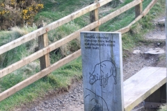 IMG_0076-e1476559733108