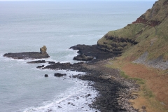 IMG_0078-e1476559015705