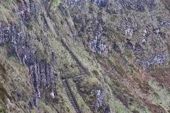 IMG_0092-e1476558536561