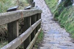 IMG_0095-e1476558505513