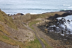 IMG_0097-e1476558462253