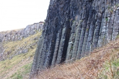 IMG_0101-e1476558410147