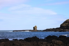 IMG_0117-e1476558109831