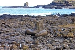 IMG_0120-e1476557998197