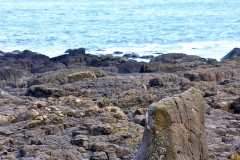 IMG_0121-e1476557935429