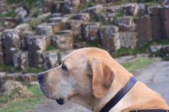 IMG_0150-e1476557522435