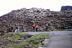 IMG_0153-e1476557384310