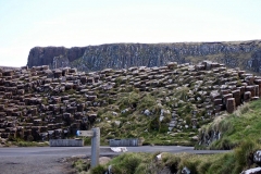 IMG_0154-e1476557324775