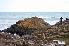 IMG_0156-e1476557307612