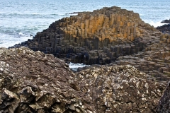 IMG_0158-e1476557240107