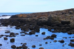 IMG_0159-e1476557121145