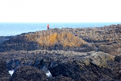 IMG_0160-e1476557042483