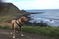 IMG_1570-e1476556887576