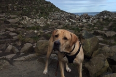 IMG_1571-e1476556756625