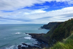 IMG_3786-e1476556709503