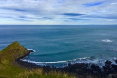 IMG_3787-e1476556685746