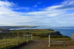 IMG_3788-e1476556661628