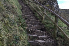 IMG_3795-e1476556601286