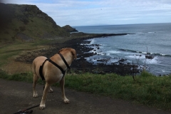 IMG_3798-e1476556583318