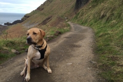 IMG_3800-e1476556523772