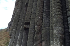 IMG_3806-e1476556393196