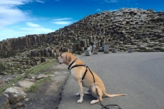 IMG_3819-e1476556085897