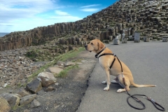 IMG_3820-e1476556217768