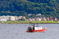 IMG_2188-e1475418088352