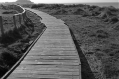 1936231_115649311445_2453415_n