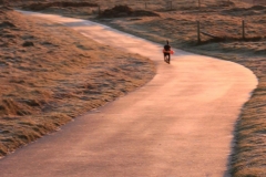 322079_10150439995066446_370605341_o-e1475422178541