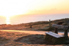 324856_10150439990186446_1645106808_o-e1475422155751