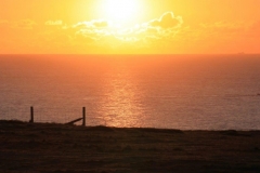 332870_10150439990806446_1464610977_o-e1475422071857