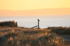 334520_10150440077796446_558788262_o-e1475422059484