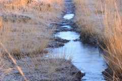 335677_10150440078541446_1149731177_o-e1475422040685