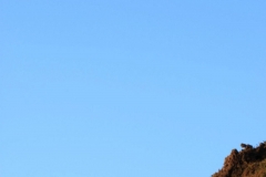 341395_10150440090006446_740684586_o-e1475422008847