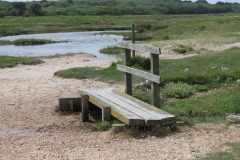 459381_10150875280616446_55281563_o-e1475421968400